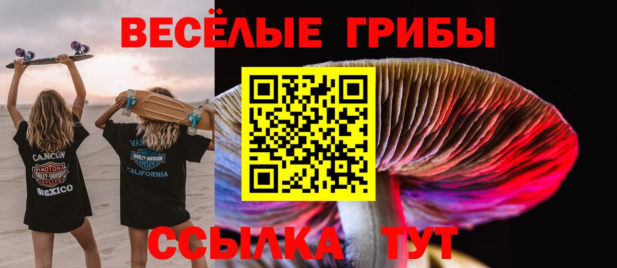 Ростов Великий  Псилоцибиновые грибы Magic Shrooms  Вход с VPN 