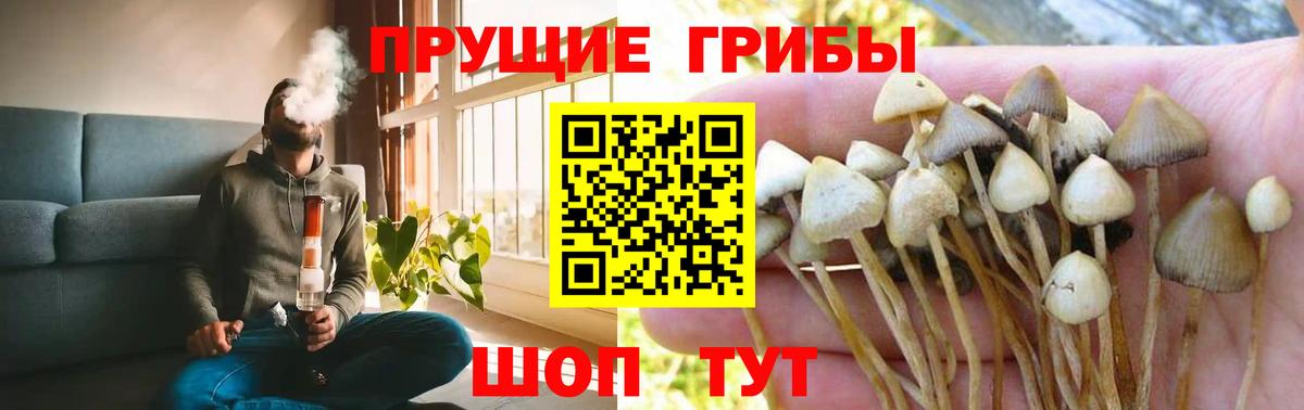 Псилоцибиновые грибы ЛСД Ростов Великий
